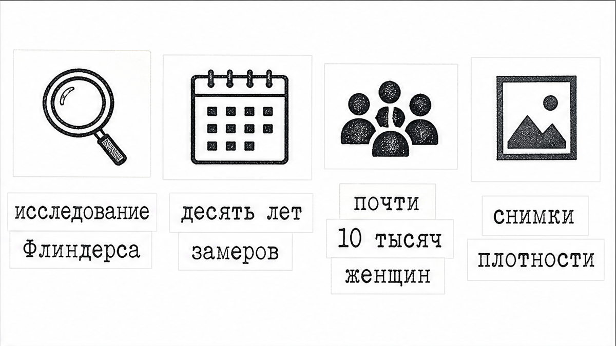 Схема: кто собирал данные исследования Флиндерса о кофе и плотности костей