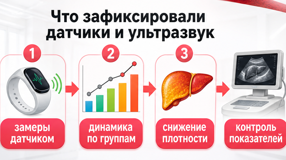 Схема: ультразвуковые замеры и динамика плотности печени по группам