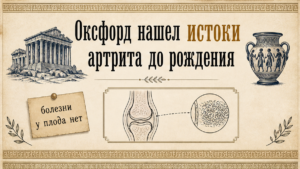 Ученые Оксфорда связали уязвимость пальцев к артриту с развитием плода